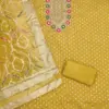 Divisha Simmer Silk Multi Kidding Sequence Work with Santoon and Organza Silk Dupatta - Design Number 4